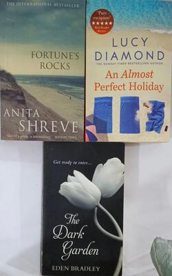 Fortune's Rocks, Dark Garden, An Almost Perfect Holiday :- Pack Of 3 Books