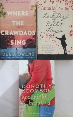 Last Days Of Rabbit Hayes, Goodnight, Beautiful, Where The Crawdads Sing :- P
Ack Of 3 Books