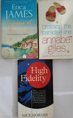 Crossing The Paradise Line, High Fidelity, Summer At The Lake :- Pack Of 3 Books