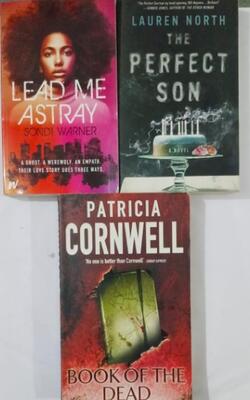 The Perfect Son, Book Of The Dead, Lead Me Astray :- Pack Of 3 Books