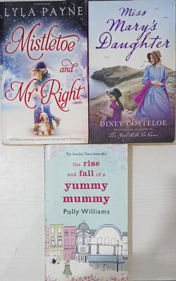 Rise And Fall Of A Yummy Mummy, Mistletoe And Mr. Right, Miss Mary's Daughter :- Pack Of 3 Books