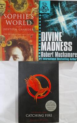 Divine Madness, Catching Fire , Sophies World :- Pack Of 3 Books