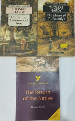 Return Of The Native: York Notes Advanced, Under The Greenwood Tree, Or, The Mellstock Quire, Mayor Of Casterbridge