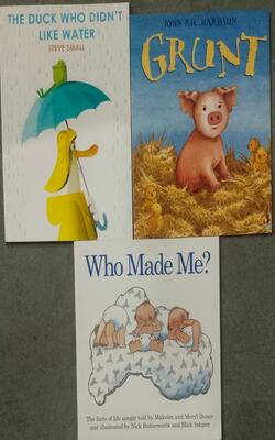 The Duck Who Didn't Like Water, Grunt-Story Book