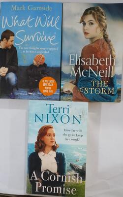 A Cornish Promise, What Will Survive, Elisabeth Mcneill The Storm :- Pack Of 3 Books