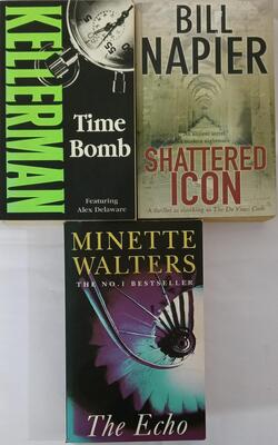 Shattered Icon, The Echo, Time Bomb :- Pack Of 3 Books