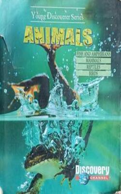 Animals